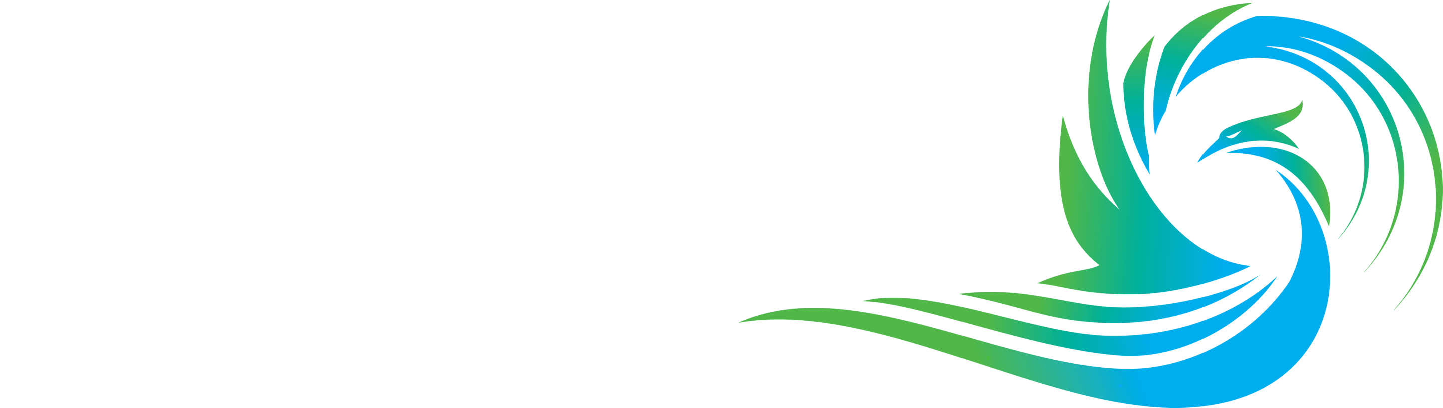 Cooney Engineered Solutions Home